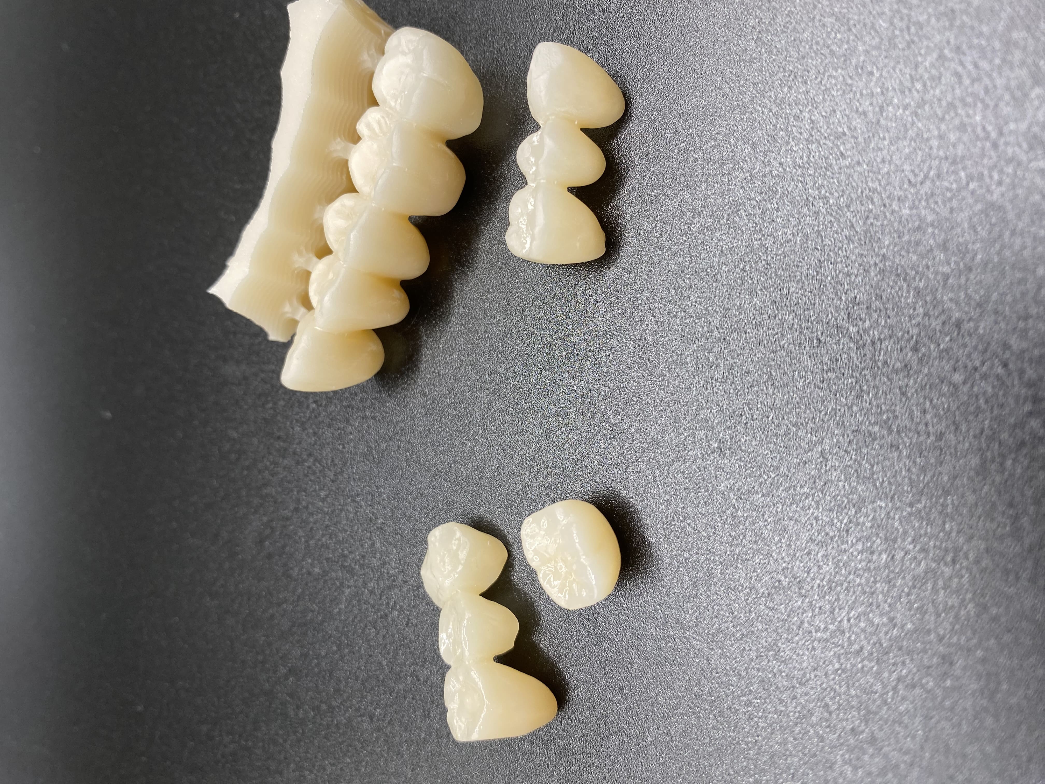 義歯技工